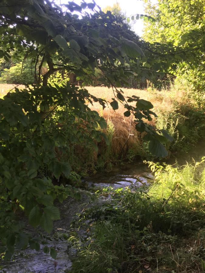 Villa del Campo Rio Zorita Rublacedo de Abajo Esterno foto